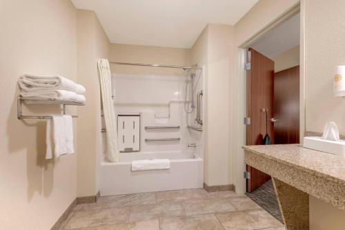 Koupelna v ubytování Comfort Inn & Suites Morgan - South Ogden