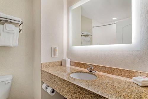 a bathroom with a sink and a mirror and a toilet at Comfort Inn Dayton South in Dayton