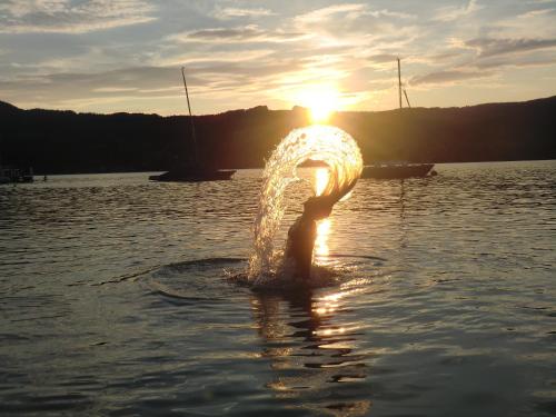 a person in the water with the sun in the background at Aktivhotel Föttinger in Steinbach am Attersee