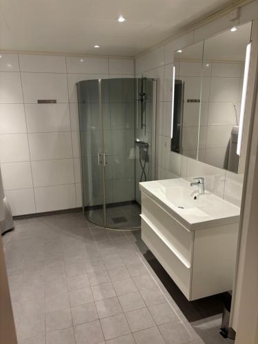 Koupelna v ubytování Arctic View Apartment - Country Retreat near Tromso