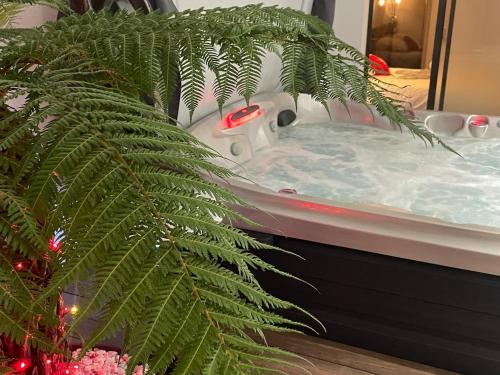 a bathroom with a jacuzzi tub with a palm tree at cocoon romantique avec jacuzzi proche plage in Saint-Gildas-de-Rhuys