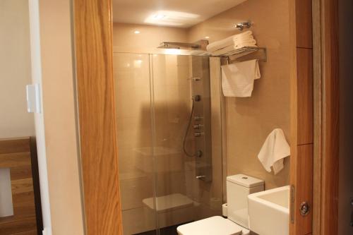a bathroom with a shower and a toilet at La QuintaEsencia in La Pereda de Llanes