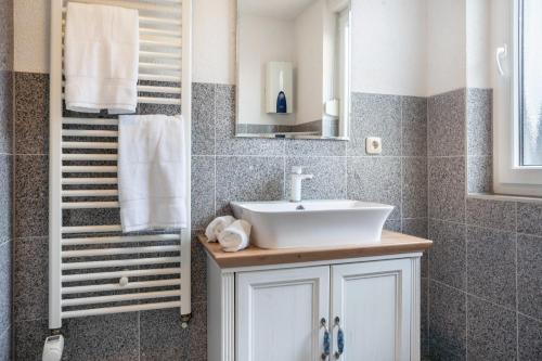 a bathroom with a sink and a mirror at Kranich in Pruchten