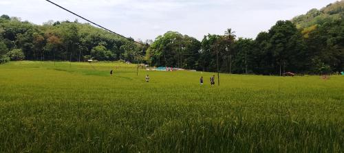 Gallery image of Ella Nature Park Hostel in Ella