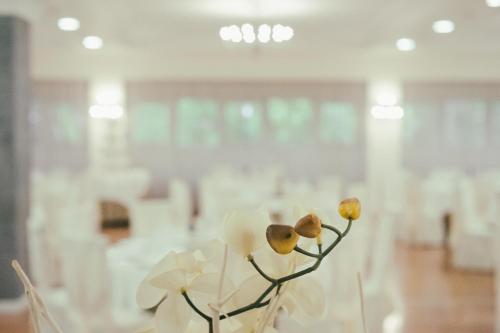 a white flower in a room with white chairs at Hotel Garden Experience in Città di Castello
