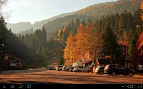 Gallery image of Chata u sovicky Malino Brdo in Ružomberok