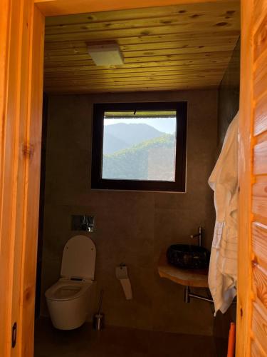 a small bathroom with a toilet and a window at Dreamy Garden Cabin in Gundauri