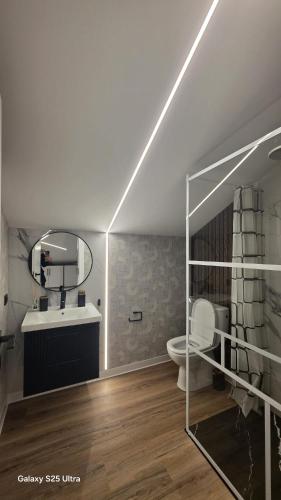 a bathroom with a sink and a toilet and a mirror at Cazare Văleanca Lux in Tudorăcheşti