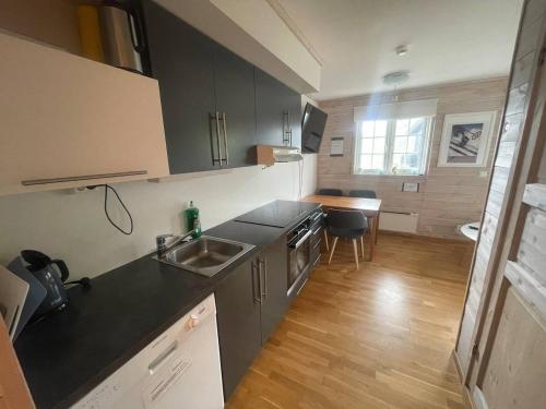 a kitchen with a sink and a counter top at Pleasant mountain apartment in Røldal, with a view in Håra