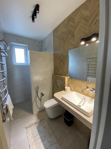 a bathroom with a sink and a toilet and a mirror at Приватна садиба Європа in Solochyn
