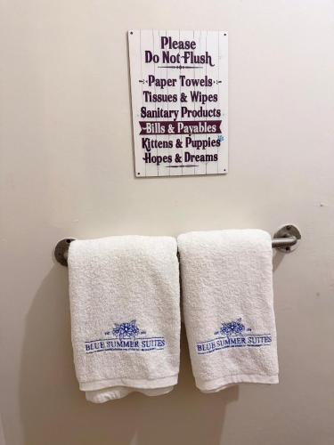 three towels hanging on a towel rack in a bathroom at Blue Summer Suites & Restaurant in Bingag