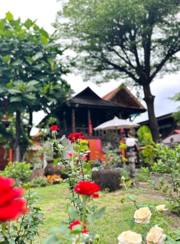 a garden with red roses in front of a building at Thai Tom s GuestHouse in Chiang Mai