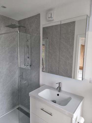 a white bathroom with a sink and a shower at Le bêêêl endroit in Gélucourt