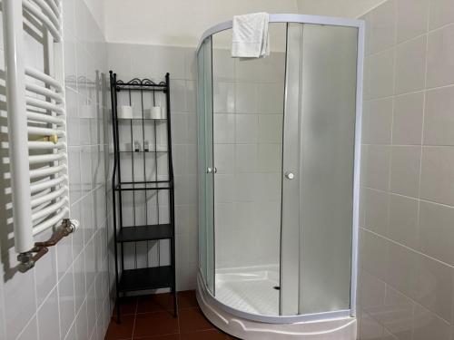 a shower with a glass door in a bathroom at Guesthouse Cetate in Oradea