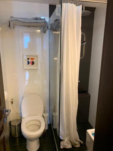 a bathroom with a toilet with a shower curtain at ArtPartment Downtown in Craiova
