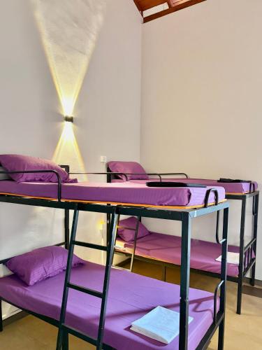 un grupo de literas en una habitación con sábanas moradas en J Walker Hostel, en Weligama