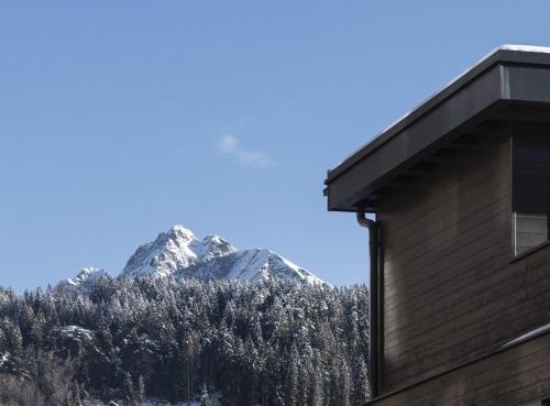 una casa con vistas a la montaña en DER MESNERWIRT - 4 Superior - Meraner Land, en Avelengo