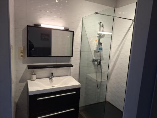 a bathroom with a sink and a shower with a television at Résidence des sables in Brussels