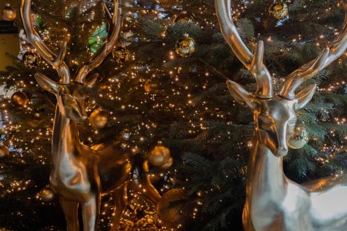 Φωτογραφία από το άλμπουμ του Hôtel LÉONOR the place to live στο Στρασβούργο