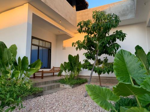 Jardí fora de BD House
