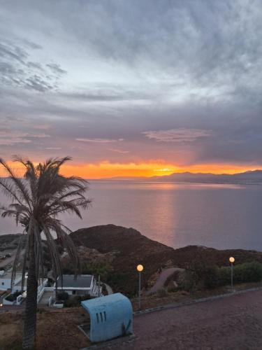 un coucher de soleil sur l'océan avec un palmier dans l'établissement Theseus beach with sea and sunrise view, à Héraklion