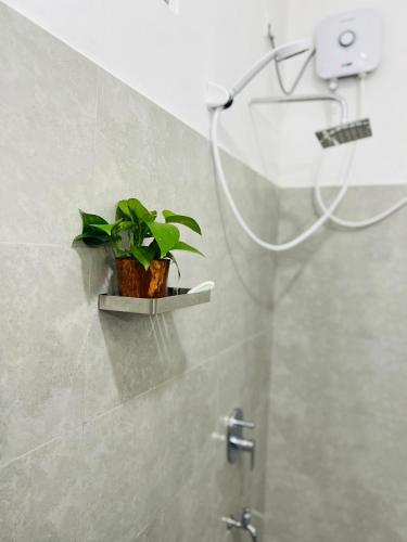 a plant sitting on a shelf in a bathroom at Dimuthu Green Villa in Sigiriya