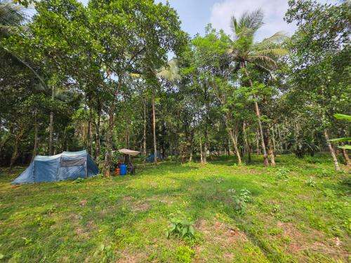 een tent midden in een veld met bomen bij The Kadu in Tāzhekkod