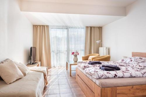 Apartmán IRIS Poděbrady 3