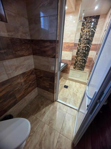 um banheiro com chuveiro e vaso sanitário em Carpe Diem em Chistilov