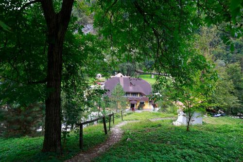 een huis in het midden van een veld met een boom bij View&Wine in Veliko Trgovišće
