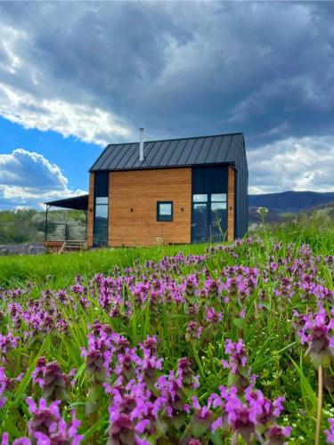 ein Haus mit einem schwarzen Dach und einem Blumenfeld in der Unterkunft Freedom23 in Solotschyn