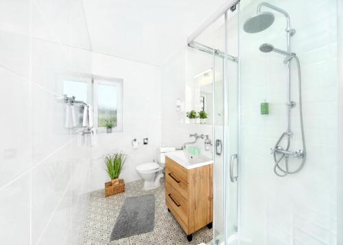 Vannituba majutusasutuses Hotel Lenka