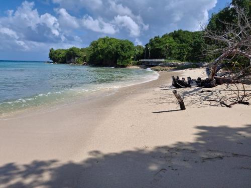 Φυσικό τοπίο κοντά σε αυτή η παραθεριστική κατοικία