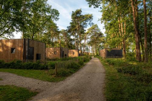 a dirt road leading to a row of tiny houses at Hofparken Wiltershaar in Winterswijk