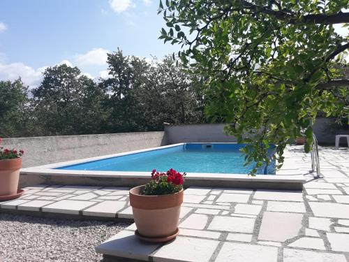 Apartments with a swimming pool Zbandaj, Porec - 14154