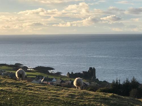 a group of sheep grazing on a hill near a castle at Close to beaches and golf courses in Maybole