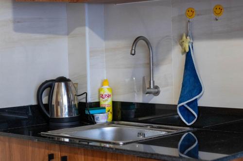 een aanrecht met een wastafel en een wastafel bij Cyan Studio with free WI-FI in Nanyuki