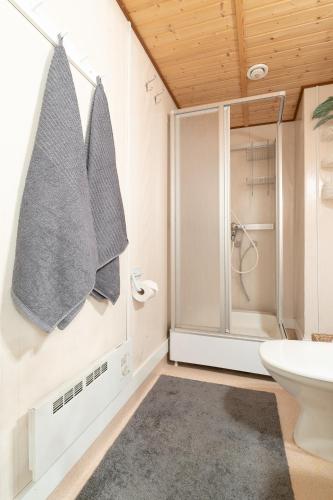 a bathroom with a shower and a sink at Ainola Arctic Hillside in Rovaniemi