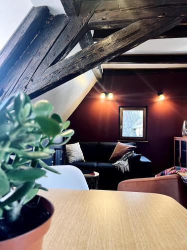 T2 cosy charme alsacien poutres apparentes au centre de Barr