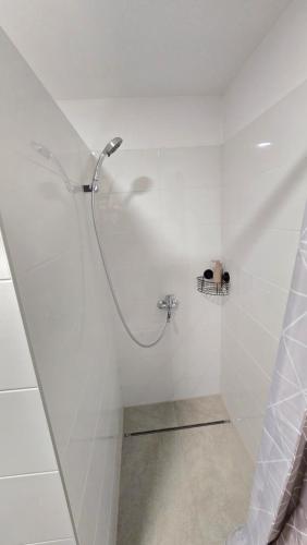 een douche in een witte badkamer met een glazen deur bij Dom Hlohovec Center in Hlohovec