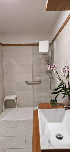 ein Badezimmer mit Dusche, Waschbecken und Toilette in der Unterkunft La Casa della Nonna in San Vito di Cadore