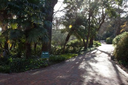 a brick road with trees and a sign on it at Viettz Suite in Stellenbosch