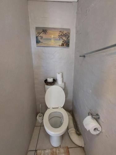 a bathroom with a toilet and a picture on the wall at Turtle Creek - Ridleys in Umkomaas