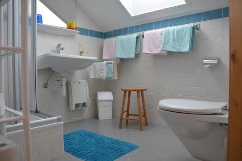 a bathroom with a toilet and a sink and a stool at Wallackhaus hütte in Untertauern