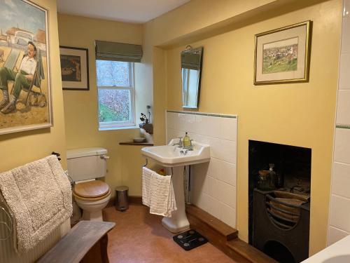 a bathroom with a sink and a toilet and a fireplace at Chateau Terrace Georgian House in Chepstow