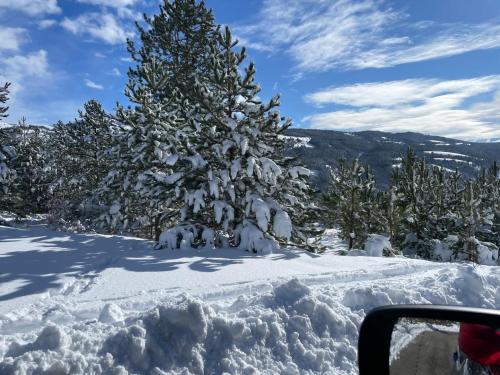 アッセルジにあるPIAZZETTA DEL FORNO GRAZIOSO BILOCALE ad ASSERGIの山雪に覆われたクリスマスツリー