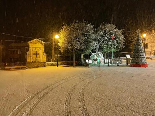 アッセルジにあるPIAZZETTA DEL FORNO GRAZIOSO BILOCALE ad ASSERGIの夜の通りの真ん中のクリスマスツリー