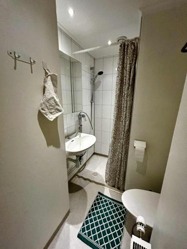 a bathroom with a sink and a toilet and a shower at Halek Hem - Haga studio in Enånger