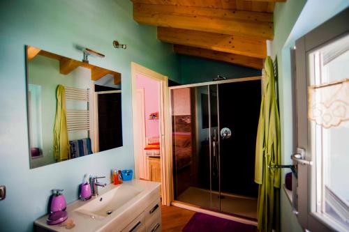 a bathroom with a shower and a sink at Il Bosco dei 100 Acri in Roncobello