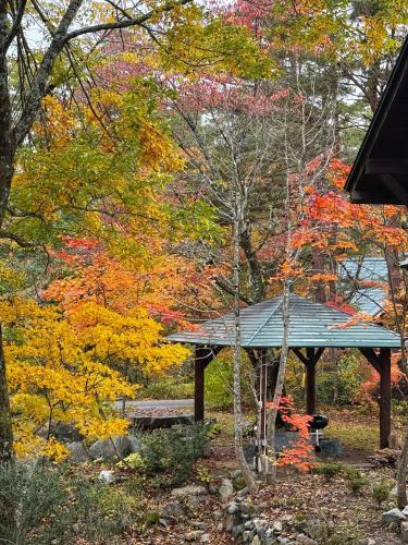 a bench in a park with colorful trees at Hakuba Riverside Loghouse in Hakuba